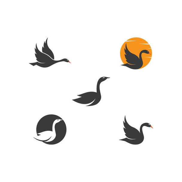 Swan logo Modelo vetor ilustração design - Vetor, Imagem