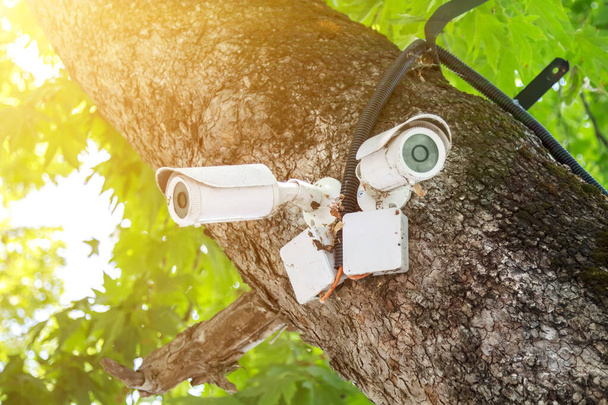 staré bílé venkovní videokamery (cctv) instalované v několika směrech pro snadné sledování pořádku v parku - Fotografie, Obrázek