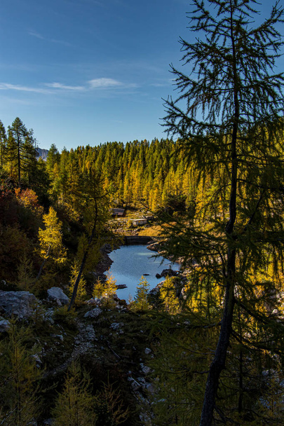 Pieni järvi Triglav-järvien laaksossa heittää puita
 - Valokuva, kuva
