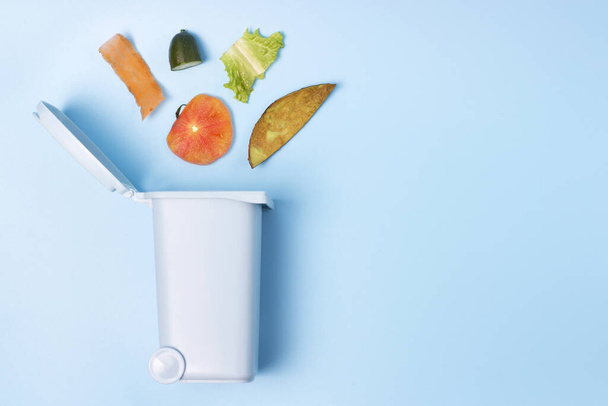 Organic waste and trash can on blue background, copy space - Photo, Image