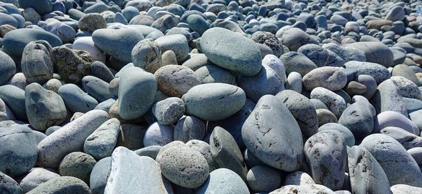 Морські камені. Сірі морські прибережні камінці - Фото, зображення