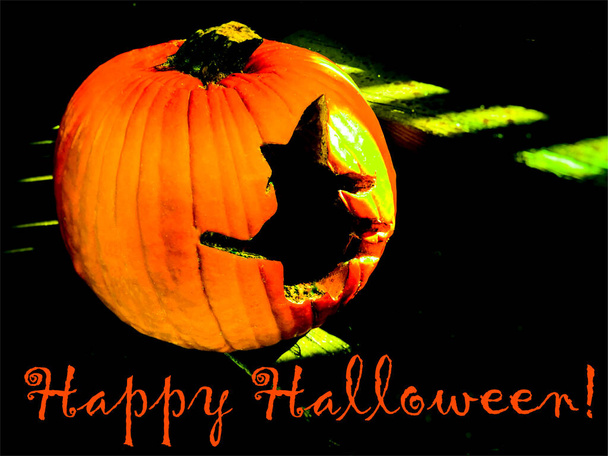 Halloween pumpkin witch party background card picture image banner - Φωτογραφία, εικόνα