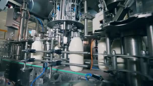 Tovární dopravník se skleněnými láhvemi mléka pohybující se kolem - Záběry, video