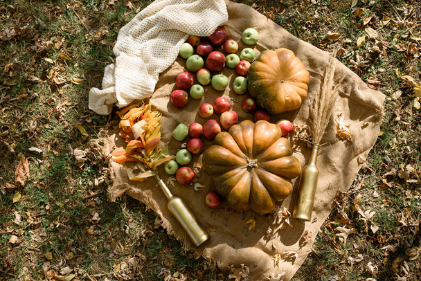 Syksyn sisustus puistossa. Kurpitsat ja punaiset omenat makaavat puulaatikossa syksyllä taustalla. Syksyn aika. Kiitospäivä
. - Valokuva, kuva