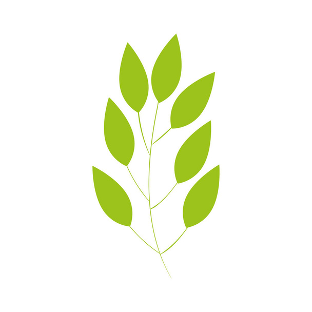 branch with leafs natural isolated icon - Vektor, kép