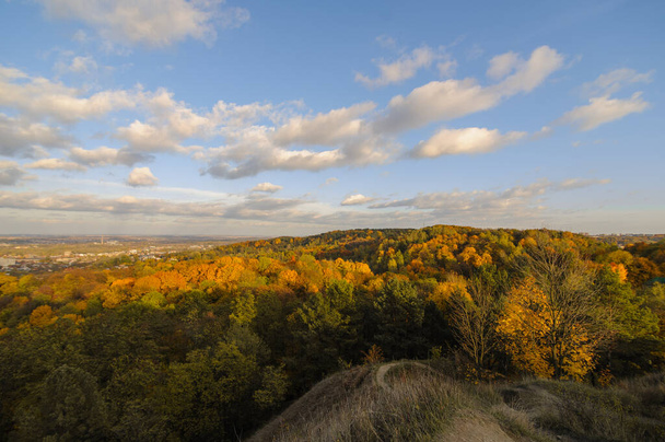 Őszi park Lviv Znesinnia - Fotó, kép