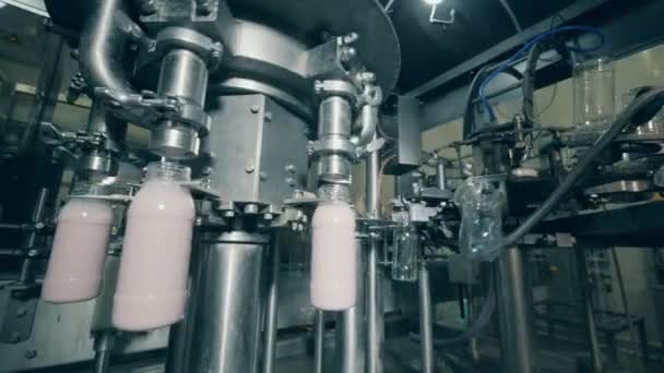 Przenośnik obrotowy wlewa substancję mleczną do butelek - Materiał filmowy, wideo