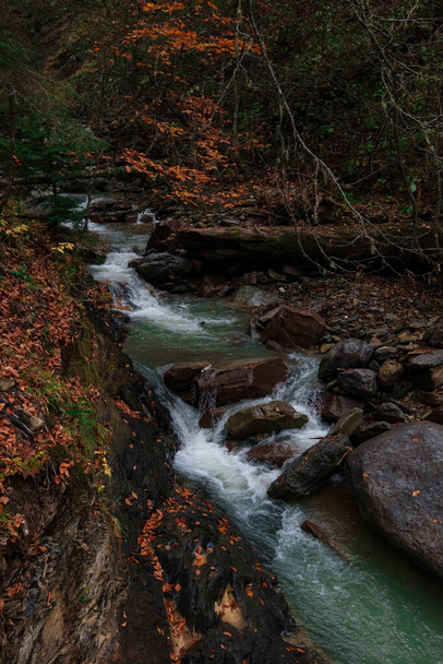 Dağ ormanının derinliklerinde bir nehir. Doğa bileşimi. - Fotoğraf, Görsel