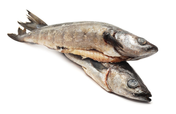 Рыба трески
 - Фото, изображение