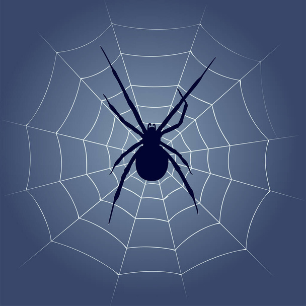 Background with spider silhouette and web. - Vector, Image