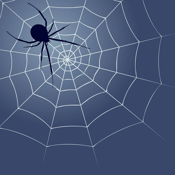 Background with spider silhouette and web. - Вектор,изображение