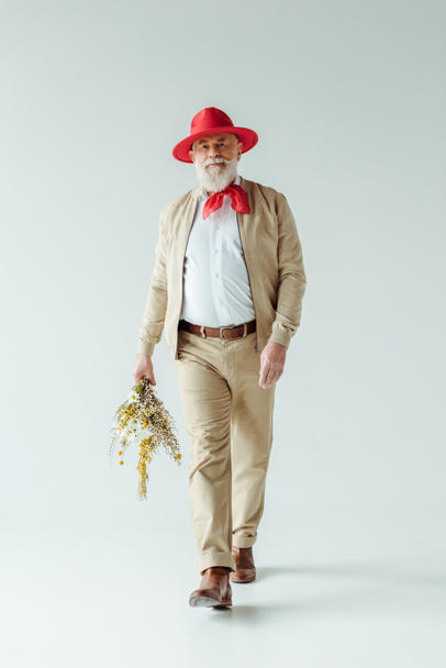Teljes hossza jóképű idősebb férfi piros kalapban gazdaság csokor vadvirág séta közben fehér háttér - Fotó, kép