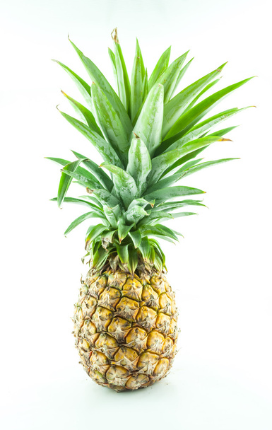 Pineapple on white background - Фото, зображення