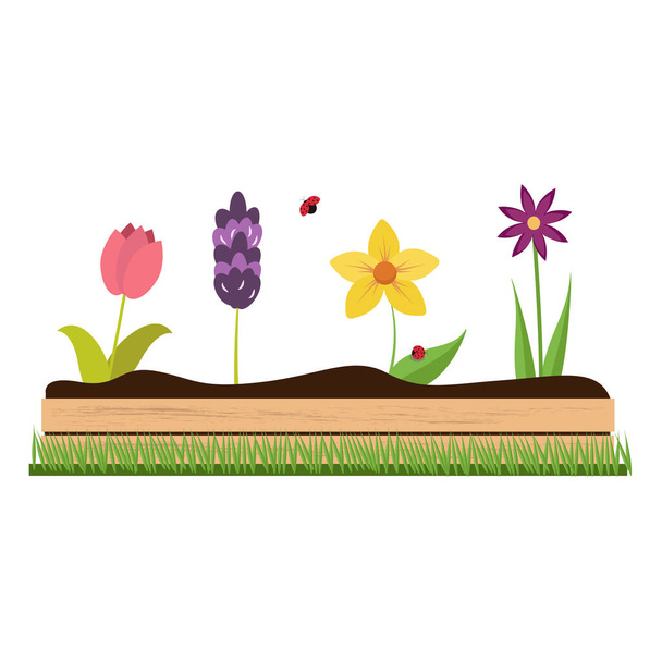 A bed of spring flowers. Isolated on a white background. Vector graphics. - Vector, Image