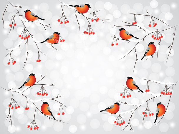 Goudvink vogels op takken winter achtergrond - Vector, afbeelding