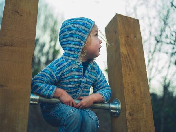 little preschooler kid is climbing on some bars of a calisthenics home gym in a garden - Fotó, kép
