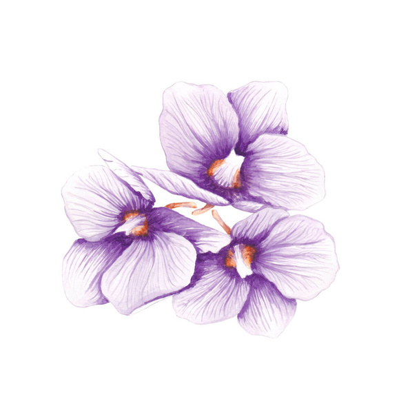 Acuarela flores orquídeas púrpuras. Flor tropical exótica para spa, relax, vacaciones. Arreglo con orquídeas perfecto para el diseño de impresión en invitaciones, tarjetas, arte mural y otros. Pintado a mano
. - Foto, imagen