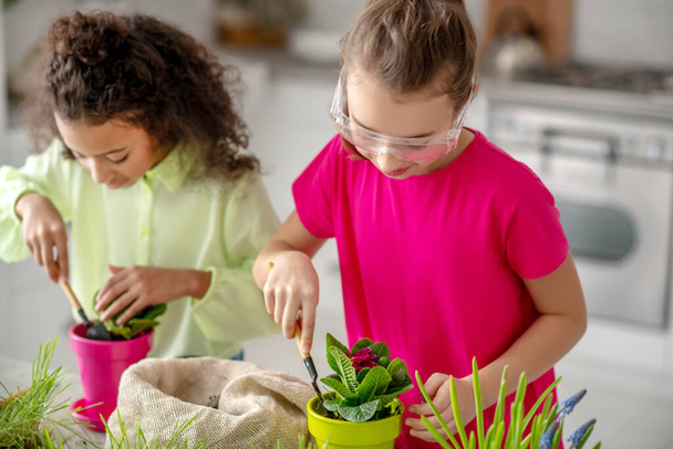 Two children planting flowers in flowerpots at home. - Foto, afbeelding