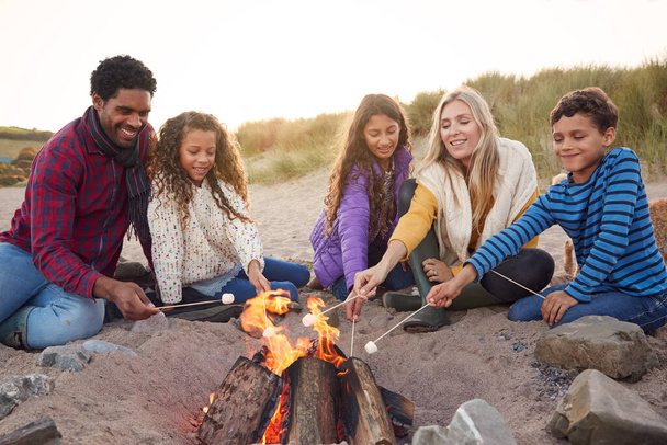 Multi-Cultural Toasting Marshmallows Around Fire On Winter Beach Vacation - Foto, imagen