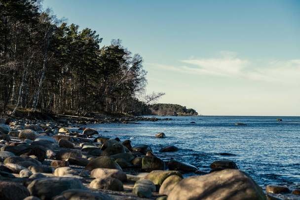 słoneczna plaża z błękitną wodą i dużymi skałami w piasku. Łotwa pod czystym niebem - Zdjęcie, obraz