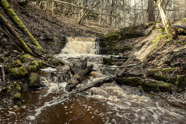 dirty waterfall on a small river in forest, fast current with stones and wood logs in autumn - Fotografie, Obrázek