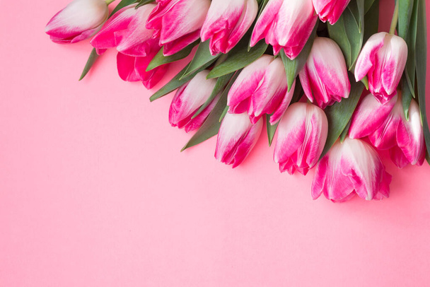 Ροζ τουλίπα λουλούδι σε ροζ φόντο με αντίγραφο χώρο για κείμενο. Αγάπη, Διεθνής Ημέρα της Γυναίκας, Ημέρα της Μητέρας και Ευτυχισμένη Ημέρα του Αγίου Βαλεντίνου έννοια - Φωτογραφία, εικόνα