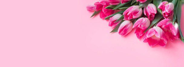 ピンクの背景にピンクのチューリップ。春のバナー、チューリップ入りポストカード. - 写真・画像