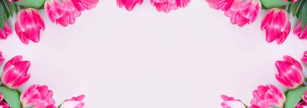 Banner de primavera de flores. Tarjeta con tulipanes rosados sobre fondo blanco
 - Foto, Imagen