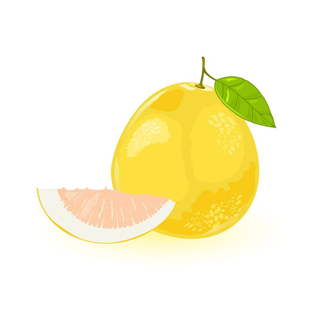 Pomelo lub cień w całości z zielonym liściem i jego segmentem. Żółty słodki największy owoc cytrusowy. - Wektor, obraz