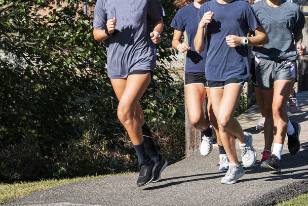 Grupa nastolatek biegających razem podczas treningu biegowego na ścieżce smolistej przez drewniany most. - Zdjęcie, obraz