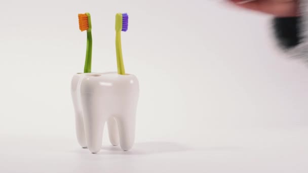 Brosse à dents. Les brosses à dents se tiennent sur un support en forme de grande dent
. - Séquence, vidéo