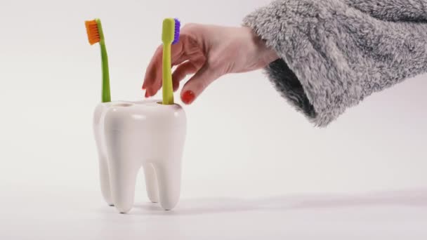Zahnbürste. Zahnbürsten stehen auf einem Stativ in Form eines großen Zahnes. - Filmmaterial, Video
