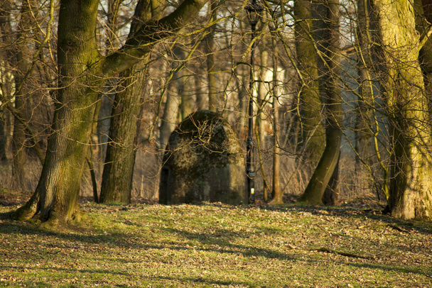Oude militaire bunker midden in het park. - Foto, afbeelding