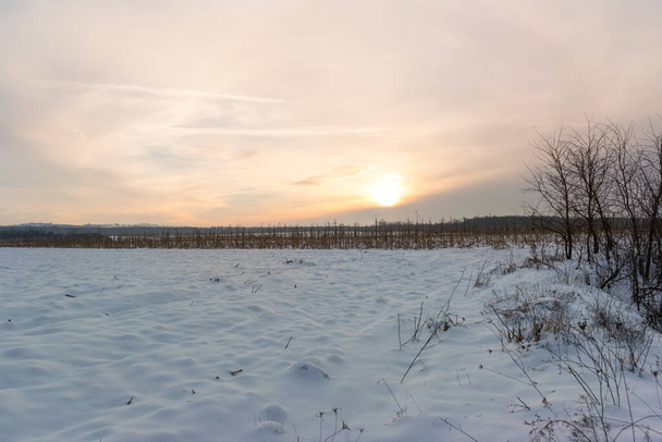 terreno cubierto de nieve por la noche en la temporada de invierno  - Foto, Imagen