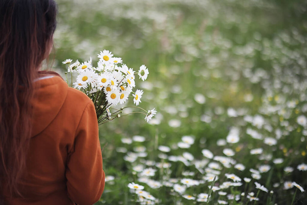 Beautiful girl collects daisies in summer day  - Фото, зображення