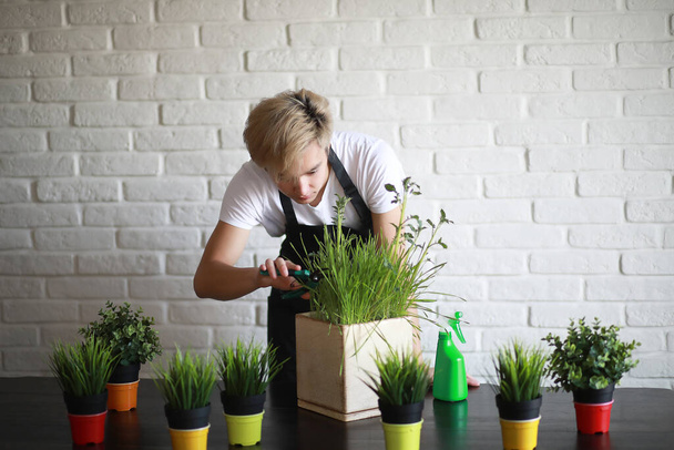Eine junge Asiatin kümmert sich um Zimmerpflanze - Foto, Bild