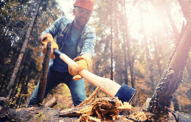 Mannelijke werker met bijl die een boom in het bos hakt. - Foto, afbeelding