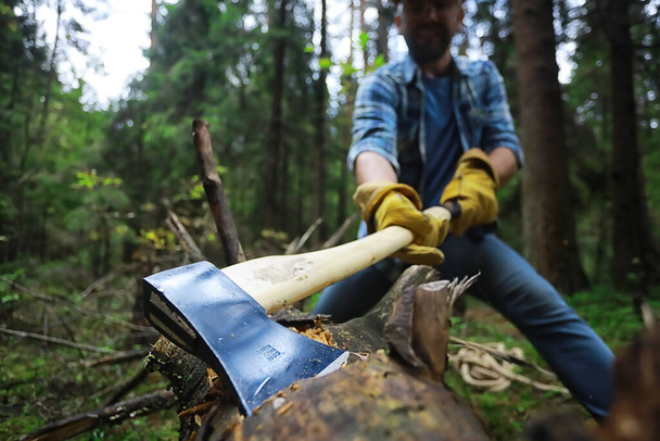 Работник с топором рубит дерево в лесу
. - Фото, изображение