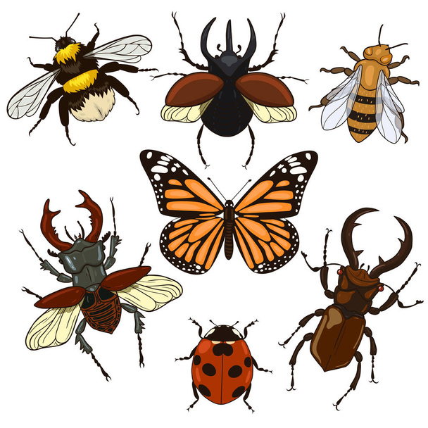Ensemble d'insectes isolés sur un fond blanc. Image vectorielle
. - Vecteur, image