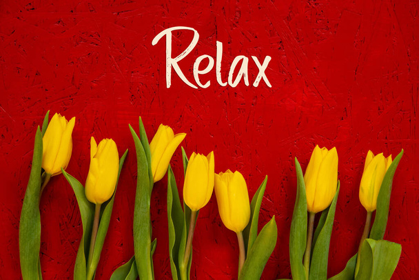 Yellow Tulip Flowers, Red Background, Text Relax - Φωτογραφία, εικόνα