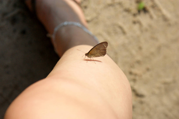 weide bruin vlinder op vrouw been siting strand zand teenslippers schoenen - Foto, afbeelding