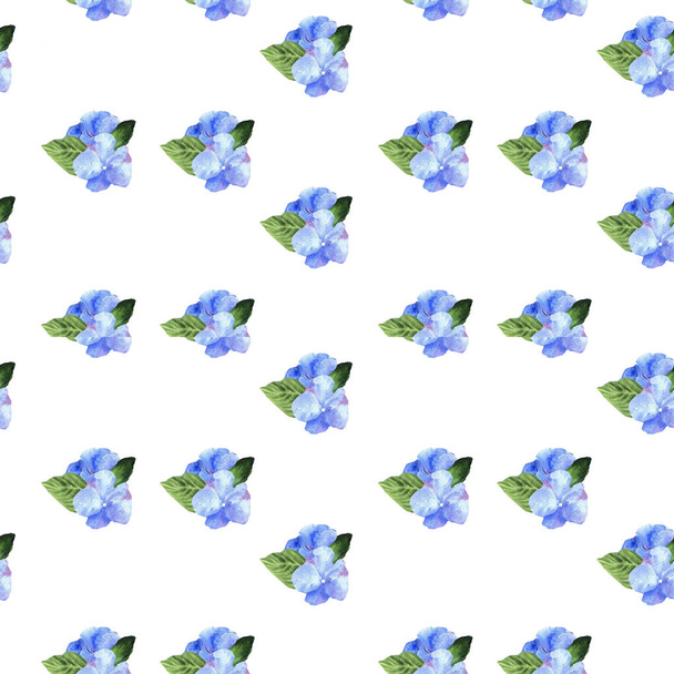 Modello con acquerello fiori blu su sfondo bianco
. - Foto, immagini