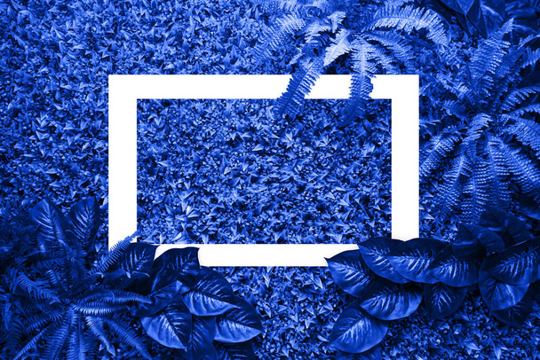 Класичний синій кольоровий фон з листя
 - Фото, зображення