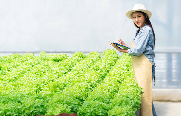 Azjatycka rolniczka trzymająca schowek i surową sałatkę warzywną w celu sprawdzenia jakości w hydroponicznym systemie gospodarstw w szklarni. Koncepcja wody, światła, środowiska kontroli temperatury. Żywność ekologiczna - Zdjęcie, obraz