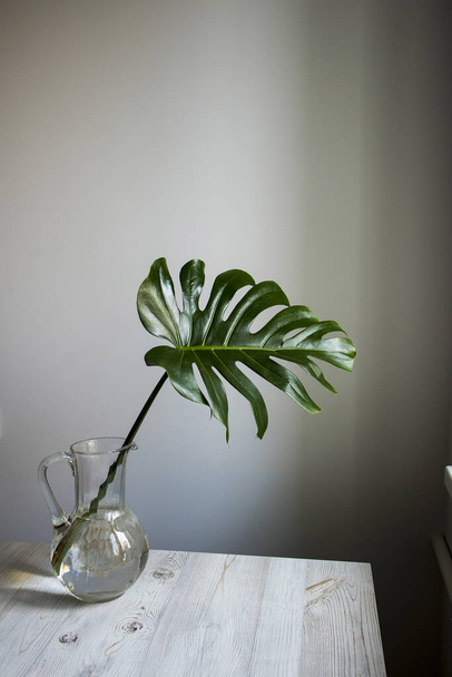 Leaf of monstera in jug is on the table opposite white wall - Foto, Imagen