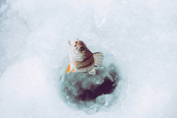 Kış Buzu balıkçılık geçmişi - Fotoğraf, Görsel