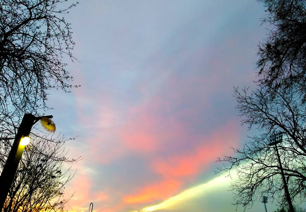 Dramatyczny zachód słońca, drzewa pod niebem, abstrakcyjne zdjęcie - Zdjęcie, obraz