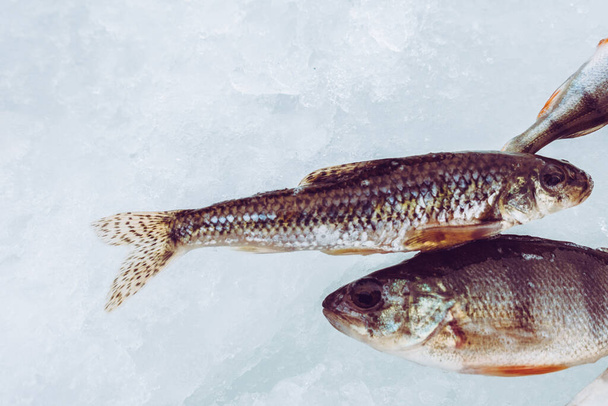 Winter Ice fishing background - Photo, Image