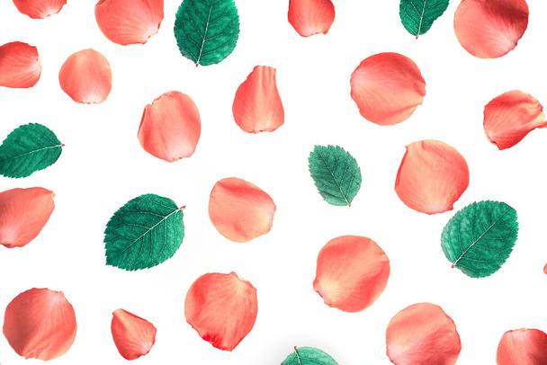 Patrón de pétalos de rosa rosa y hojas sobre fondo blanco, vista superior
 - Foto, imagen
