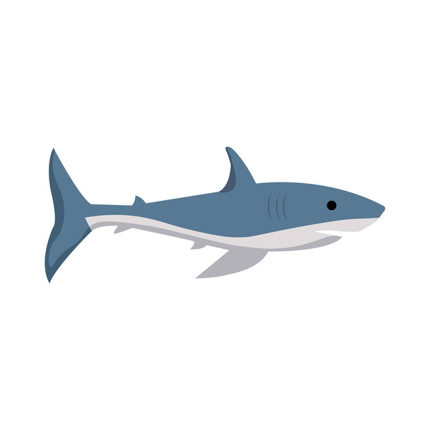 Vector image of a shark on a white background - Vecteur, image